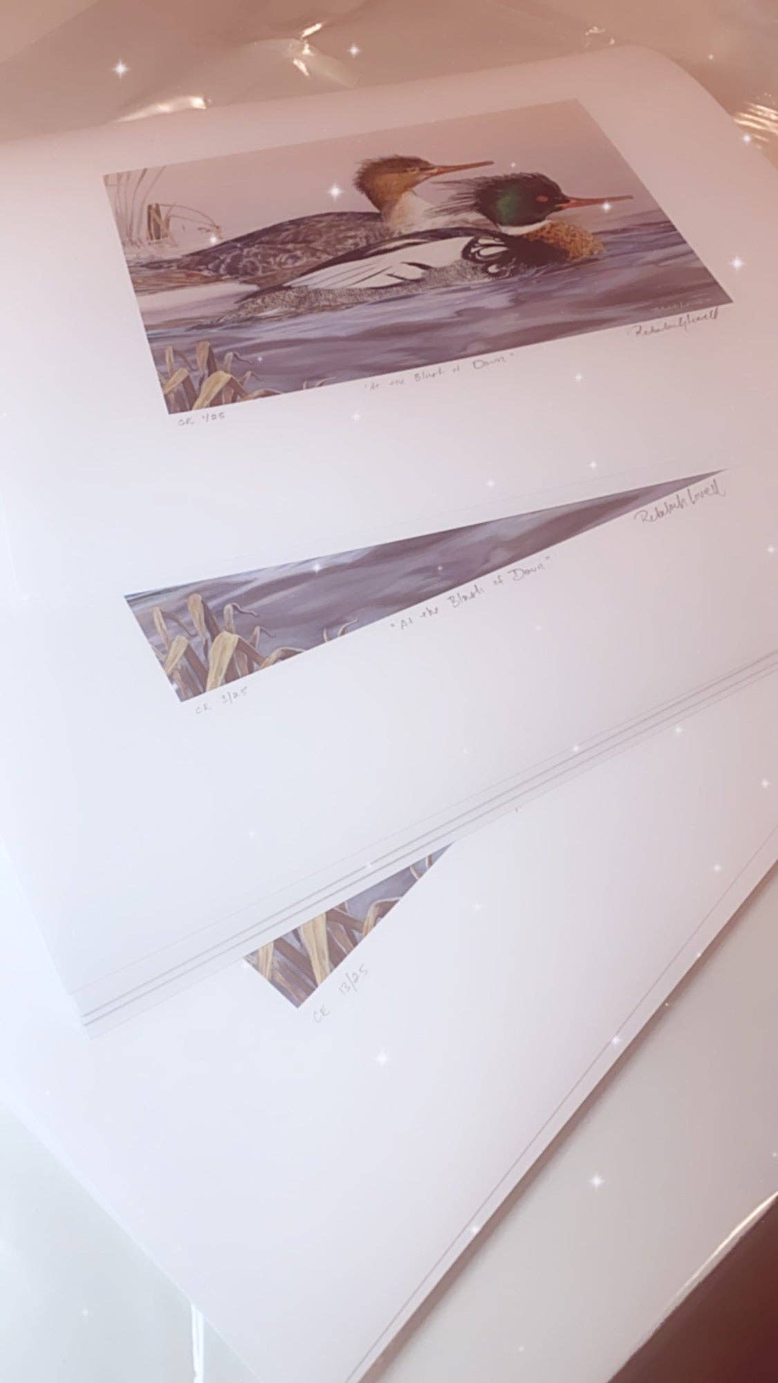 Rebekah Lowell Creative Studio - Wholesale Art Print - 2020 Maine Duck Stamp Print (Red-breasted Mergansers)4