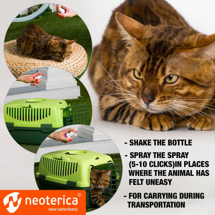 Beloved Pets - Wholesale Pet Scratcher - Cat - RELAXIV Calming Pheromone Spray & Scratch Repellent for Cats - Reduces Scratching Furniture, Pee - During Travel, Fireworks, Thunder, Vet Zone - Helps to Relief Stress, Fighting, Hiding4