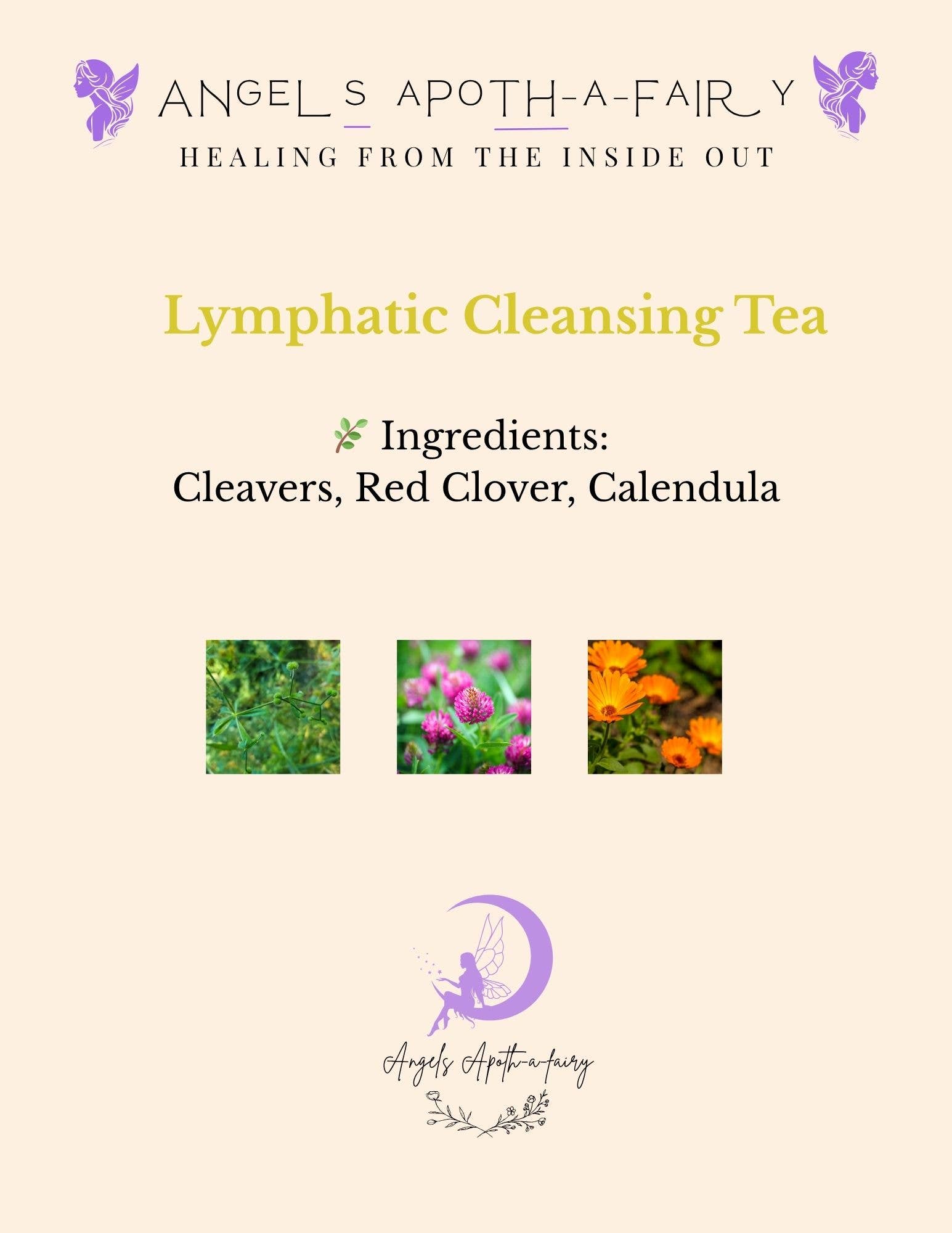 Angels Apoth-a-fairy - Wholesale Health/Detox Tea - Lymphatic Cleansing Tea3