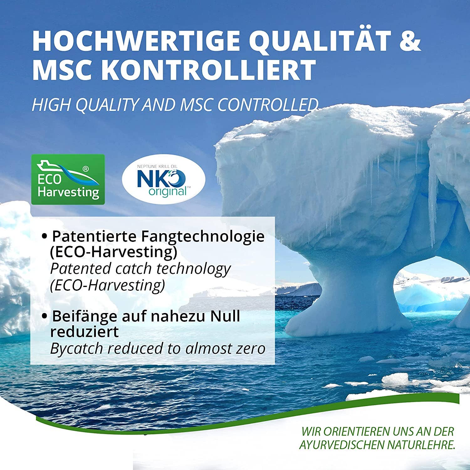 AMTEC Trading GmbH - Wholesale Oral Supplement/Vitamin - MoriVeda® NKO Krill Oil Capsules Omega 3.6.9 softgel capsules5