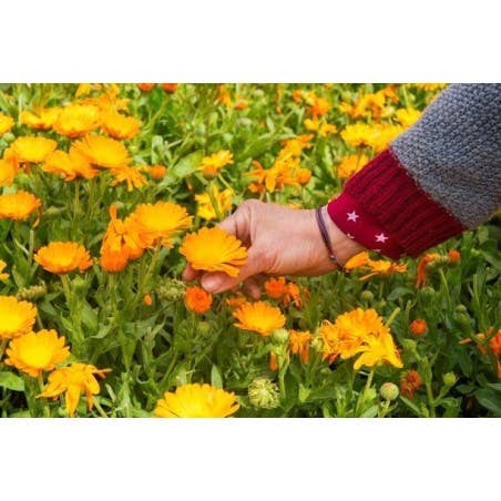 Matarrania Cosmética 100% Bio - Wholesale Facial Moisturizer - Nourishing Moisturizer for Sensitive Skin 100% Bio1