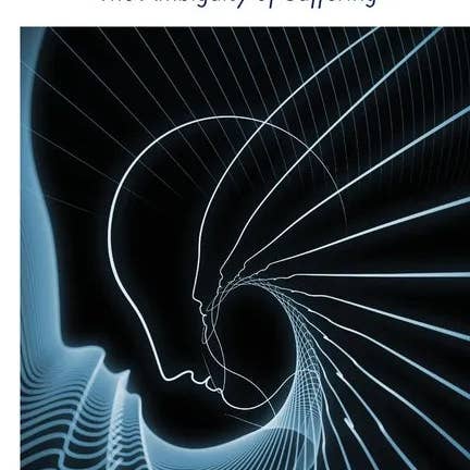 Books by splitShops - Wholesale Book - Adult - From Psychoanalysis to Process Work: The Ambiguity of Suffering - Paperback