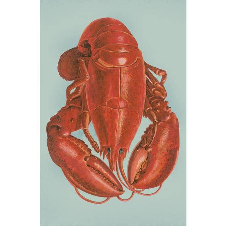 Grußkarte FO-696 Hummer für den Großhandel von Found Image Press