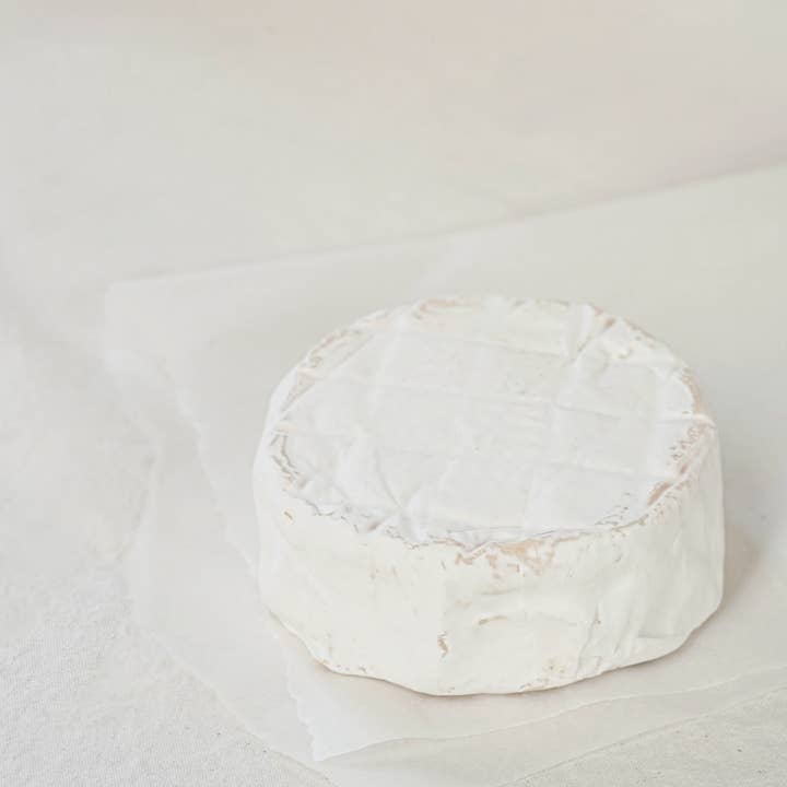 OLIO DI SERRA - Wholesale Cheese - Camembert from Puglia di Bufala