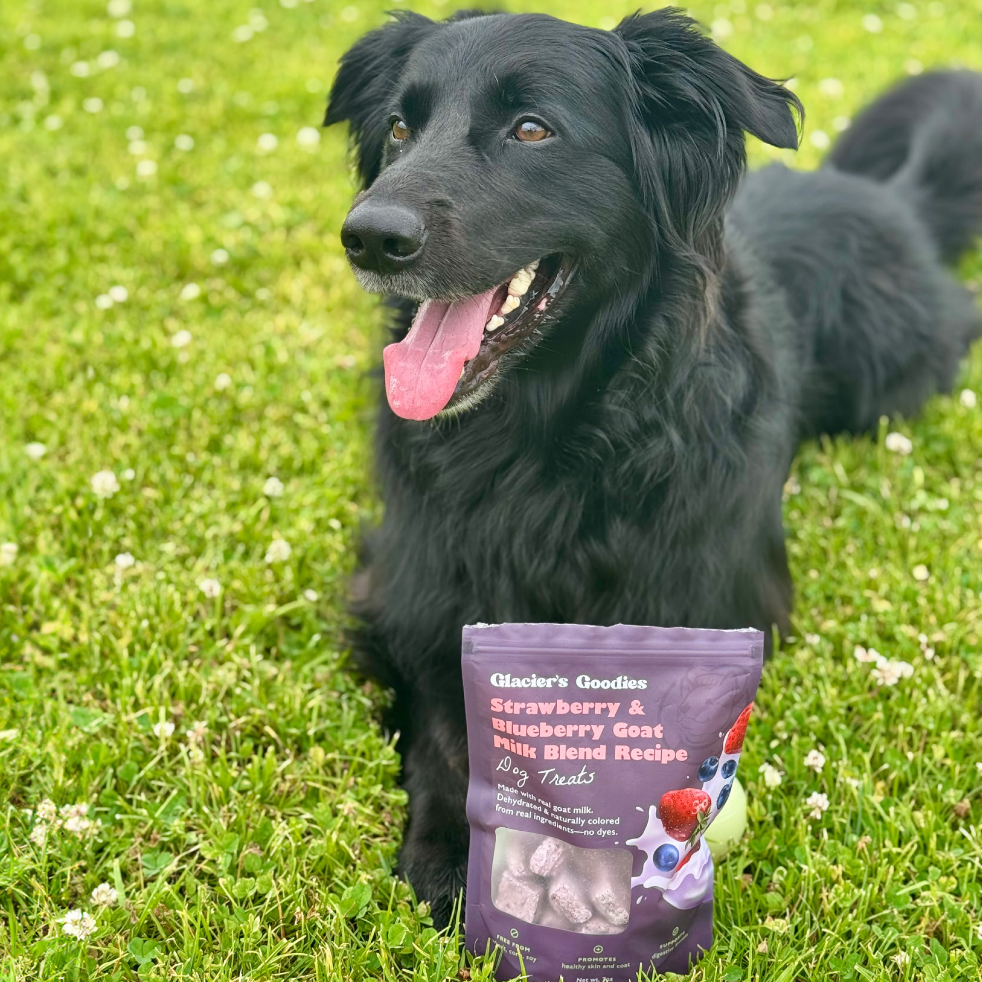 Glacier's Goodies - Wholesale Pet Treats - Dog - Goat Milk Dog Treats – Banana & Peanut (7oz) 6pack6