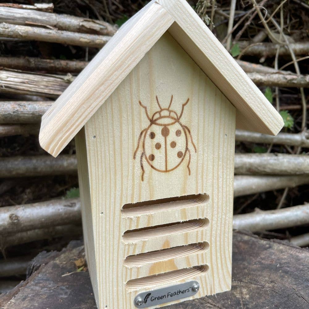 Green Feathers – wholesale Bird house – Ladybird House4