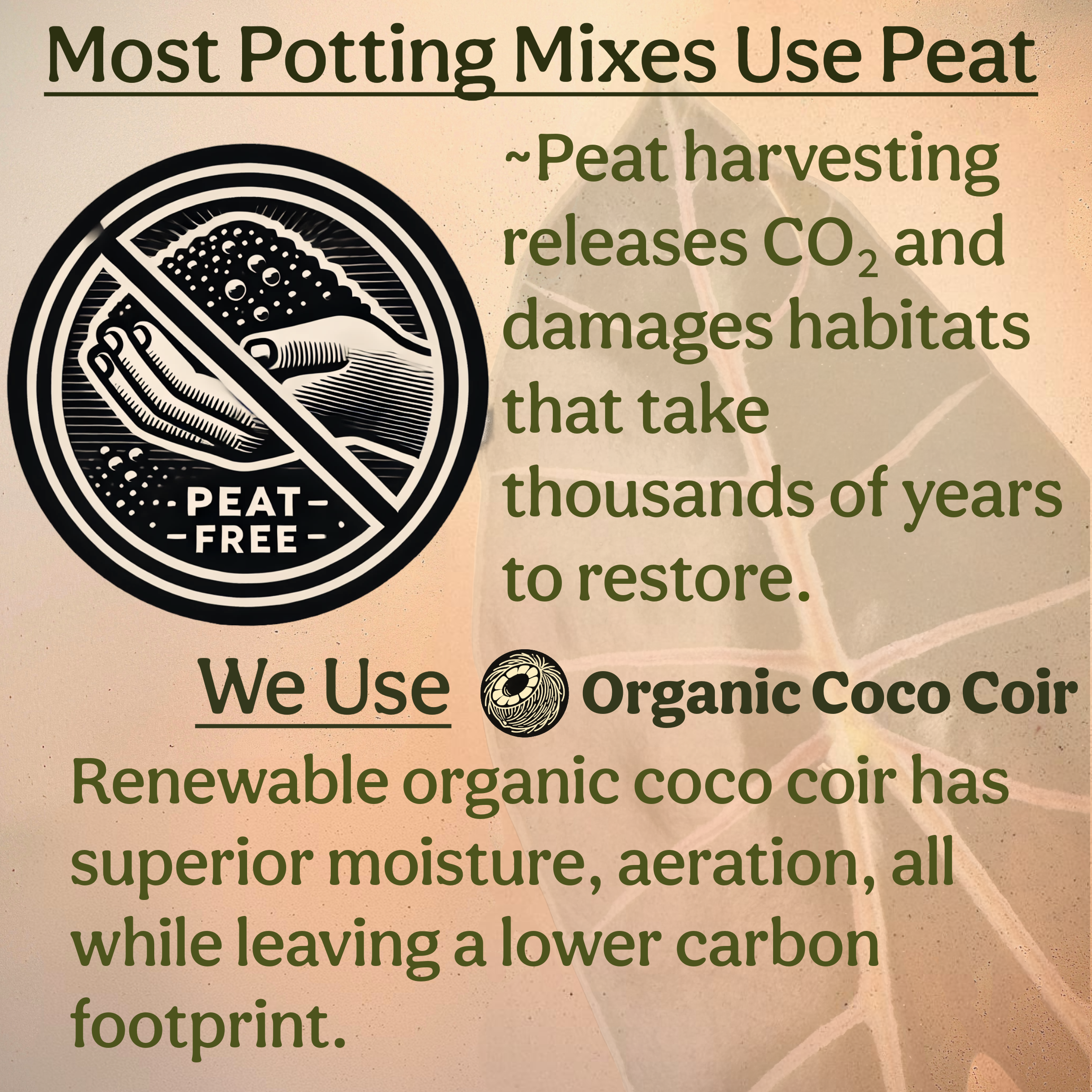 Grow Queen - Wholesale Planting/Potting Soil - Craft Aroid Potting Mix8