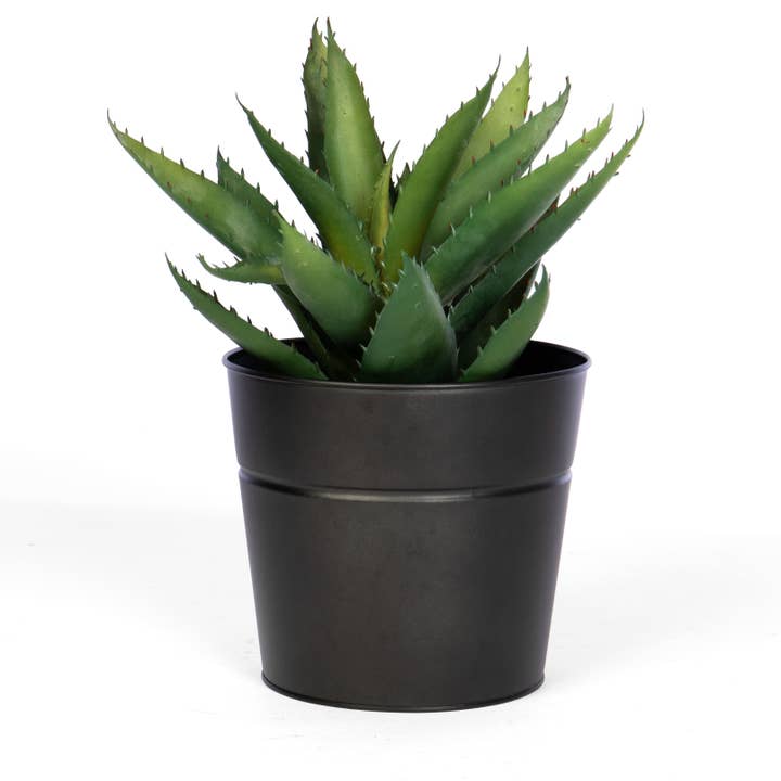 Willow Group - Wholesale Plant Pot - Black Tin Planter w/ PVC Liner 7"D2