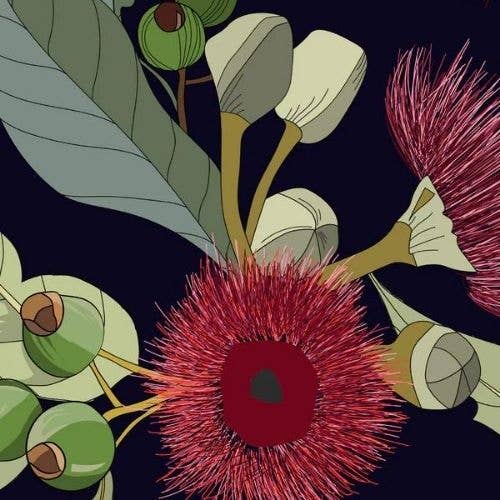 Gumnuts por atacado de Mint by Michelle