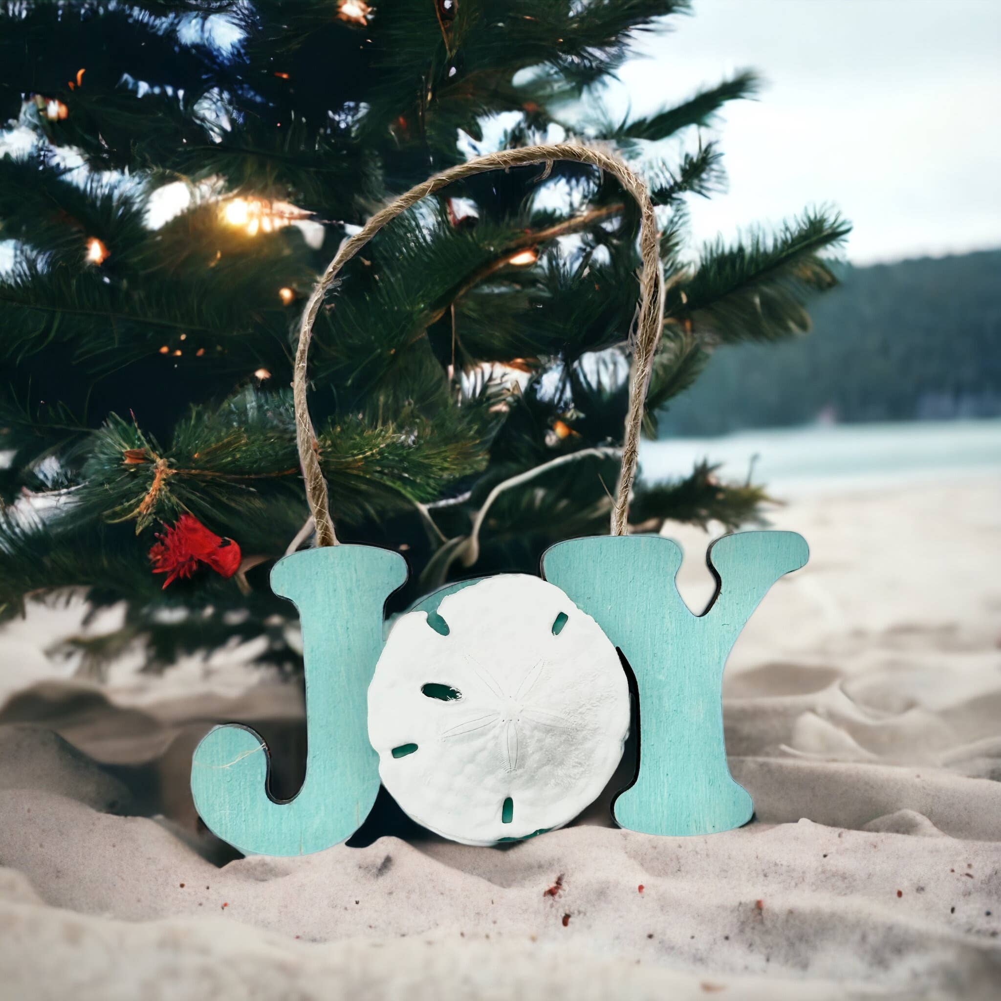 Wackadoodles - Vente Objets de décoration - Ornement Joy avec dollar en sable1