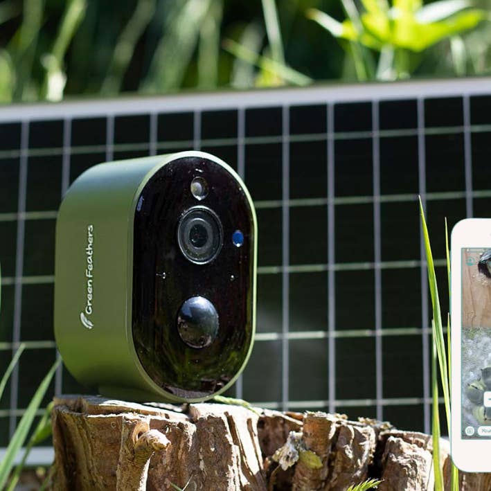 Green Feathers - Wholesale Bird House - Solar Bird Box and Bird Feeder 2 Camera Garden Kit3