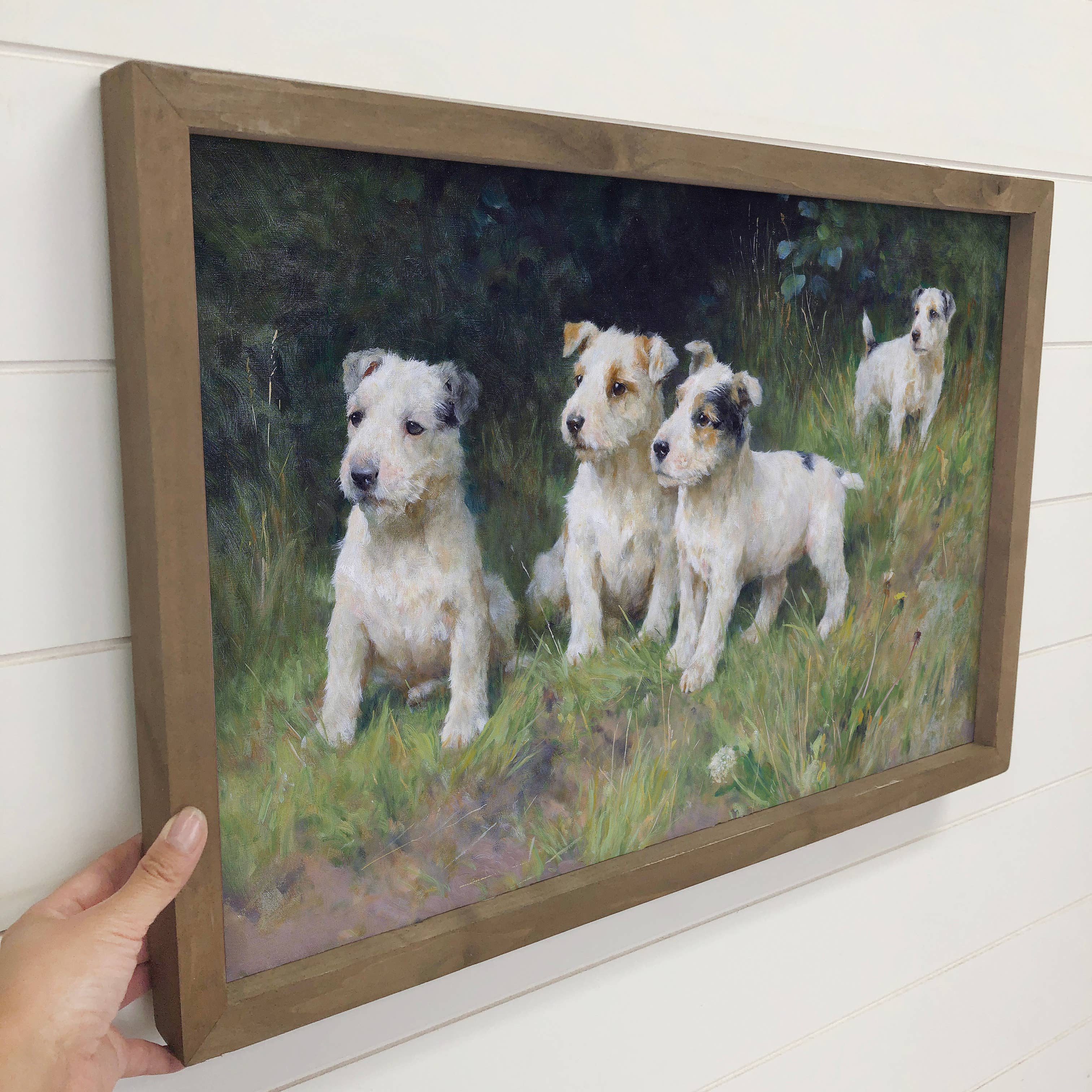 Hangout Home - Wholesale Art Print - Terrier Pups in Grass - Puppy Canvas Art - Wood Framed Art3