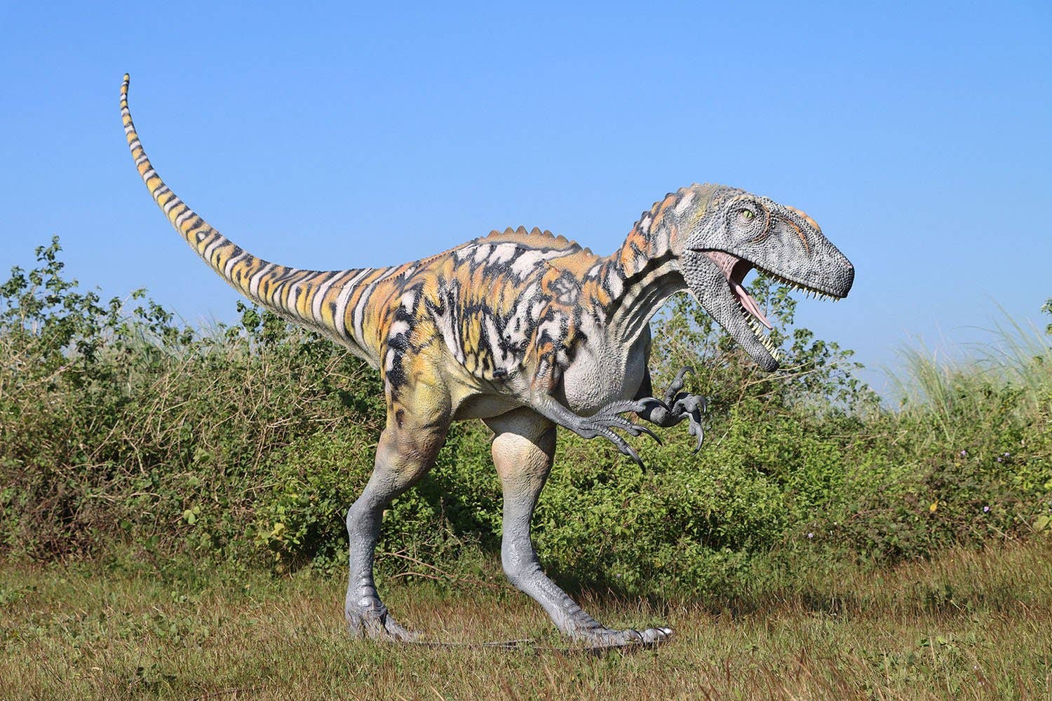 LM Treasures - Wholesale Figurine Toy - Kids - Australovenator Dinosaur Life Size Statue1