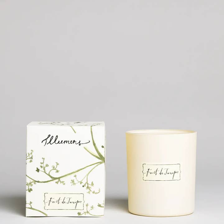 ForĂȘt de Juniper - Scented Candle for wholesale by ILLUMENS