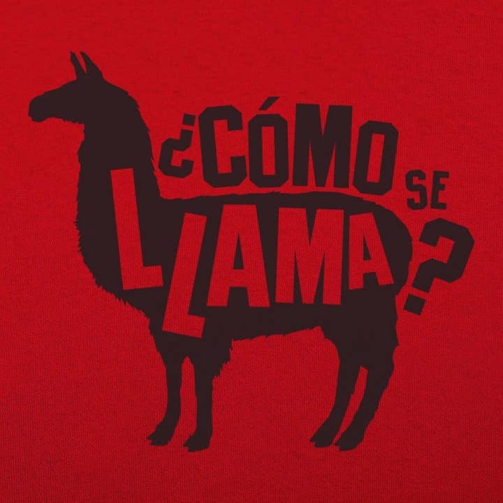 6DS - Wholesale Screen Printed T-Shirt - Men's - Como Se Llama Men's T-Shirt7