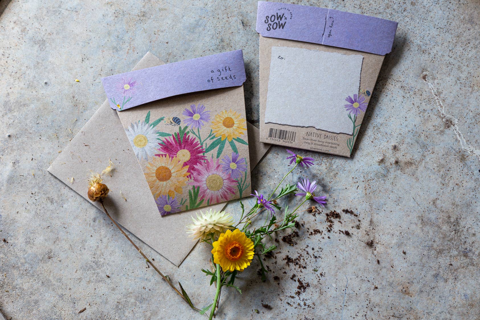 Sow 'n Sow – wholesale Frön – Inhemska prästkragar gåva av frön (endast Australien)2