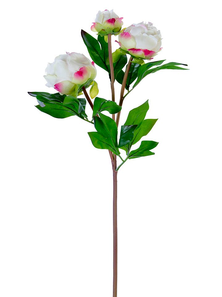American Best - Vente Fleurs artificielles - Bourgeons de pivoine FRESH TOUCH de 28"2