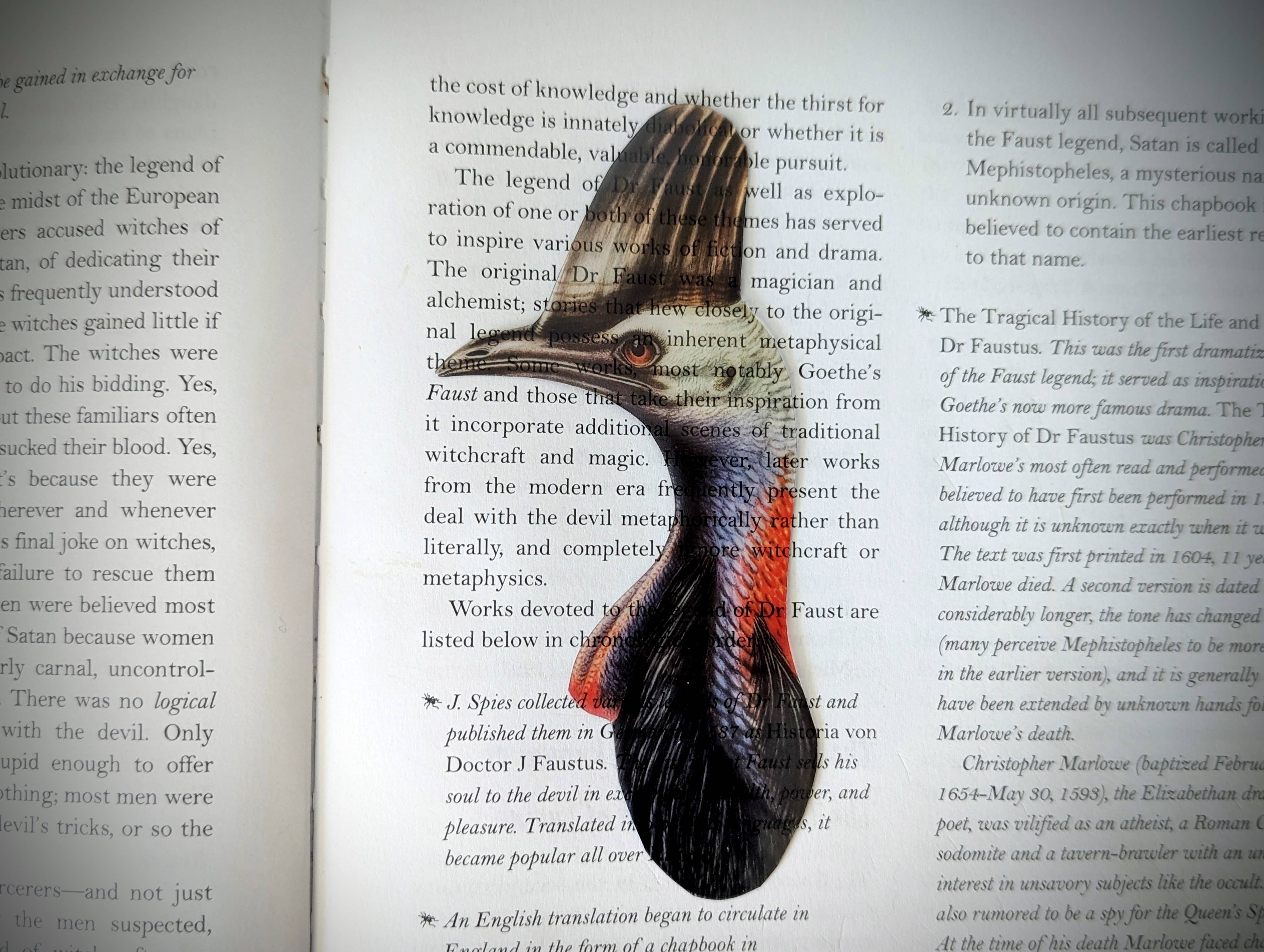 Dark Veinlet - Wholesale Bookmark - Clear Bookmark - Cassowary Flightless Bird Dark Academia1