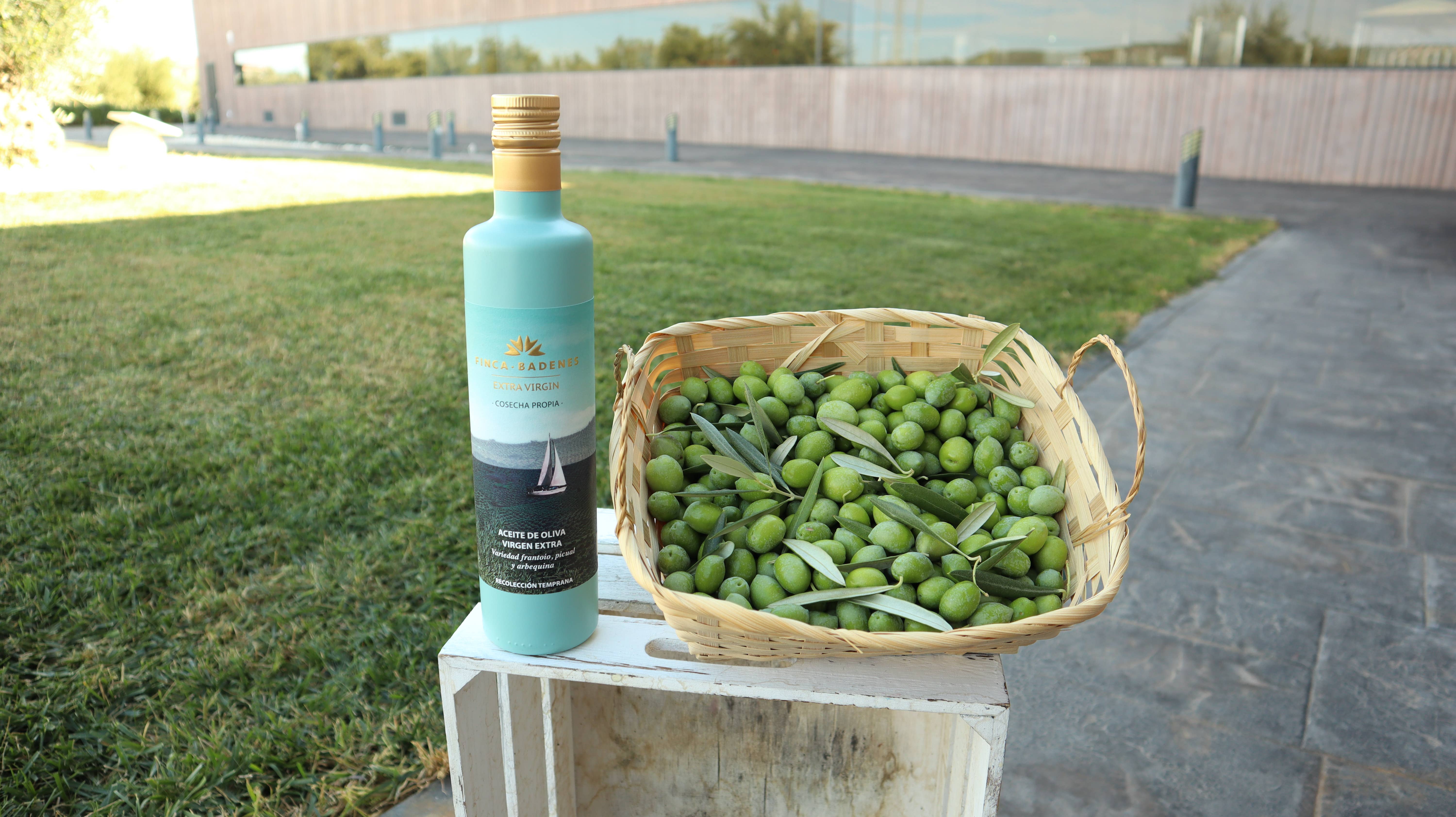 AIRES DE JAEN - Vente Huile d'olive - PACK 12 x 500ml EVOO Finca Badenes COUPAGE Récolte précoce7
