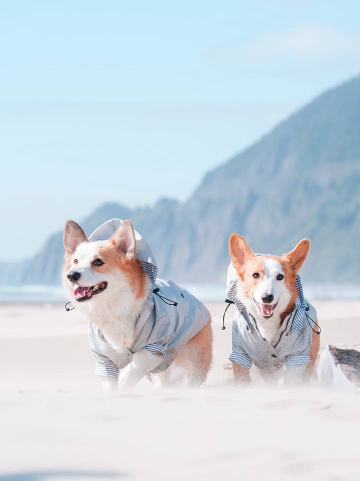 Light Grey Raincoat for wholesale by Ellie Dog Wear