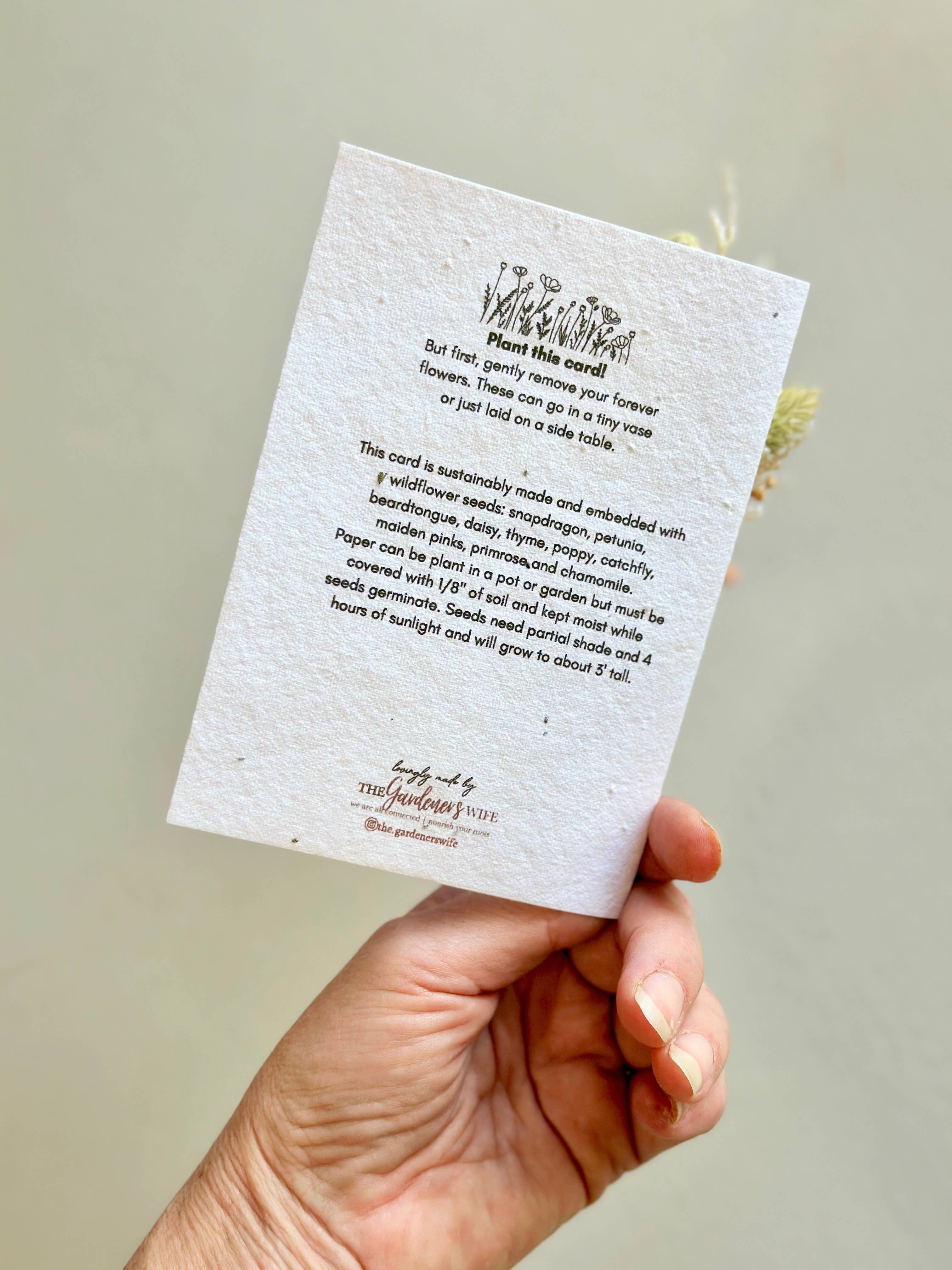 The Gardeners Wife - Wholesale Thank You Card - Wildflower Seed Card + Tiny Bouquet 2