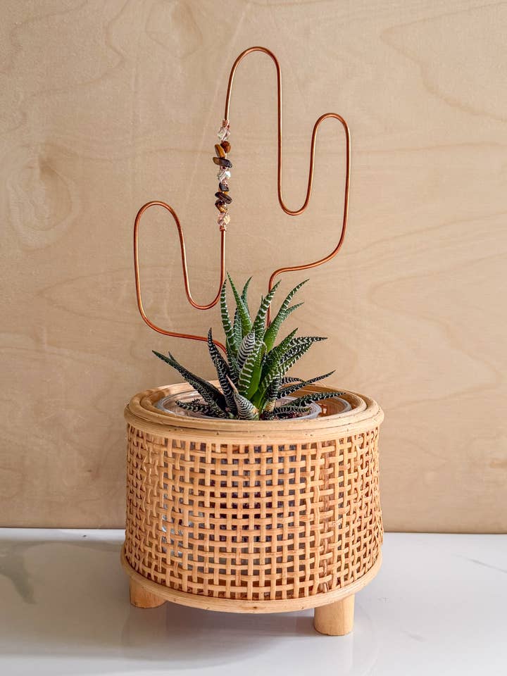 Enrejado de Planta de Cobre, Accesorio para Plantas, Decoración de Saguaro para venta al por mayor de Mtn Bluebird Co