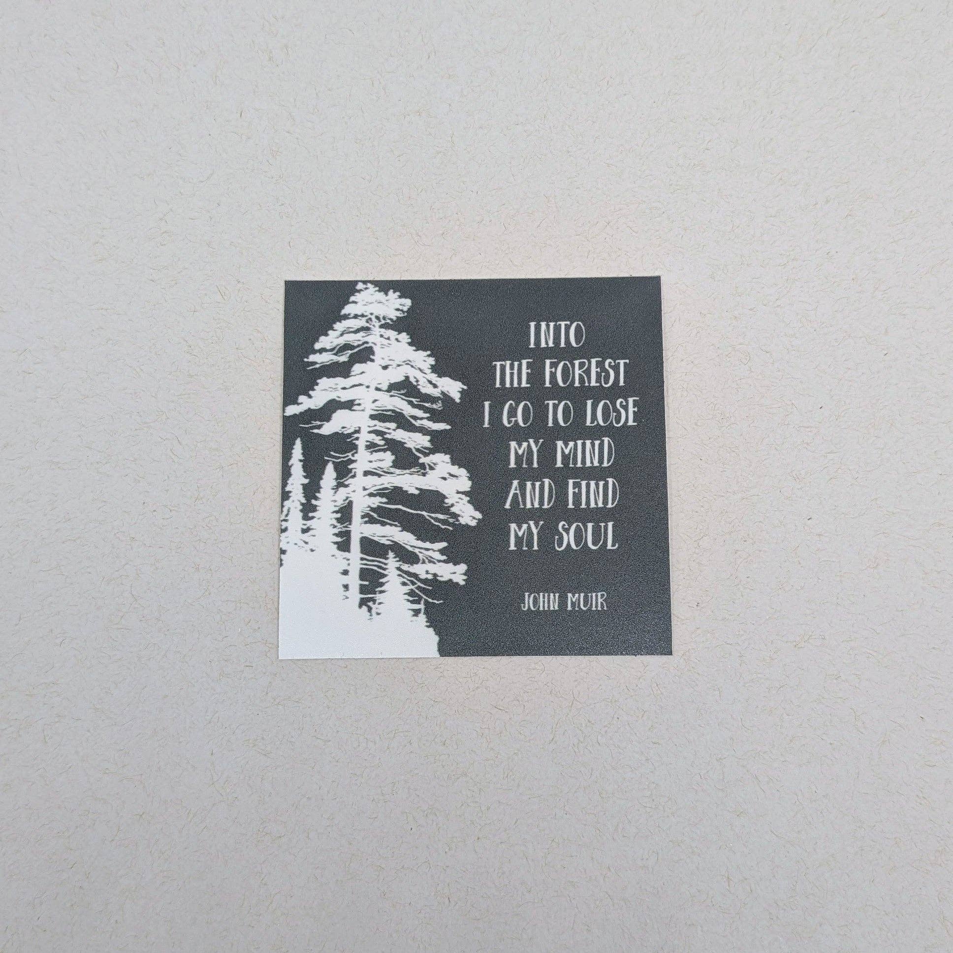 Big Wheel Press - Wholesale Sticker - Into the Forest I go - John Muir (Sticker)0