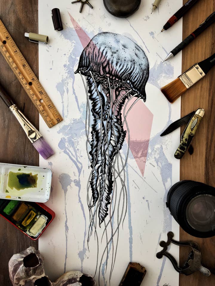 Jellyfish for wholesale by InkWell Spectrum