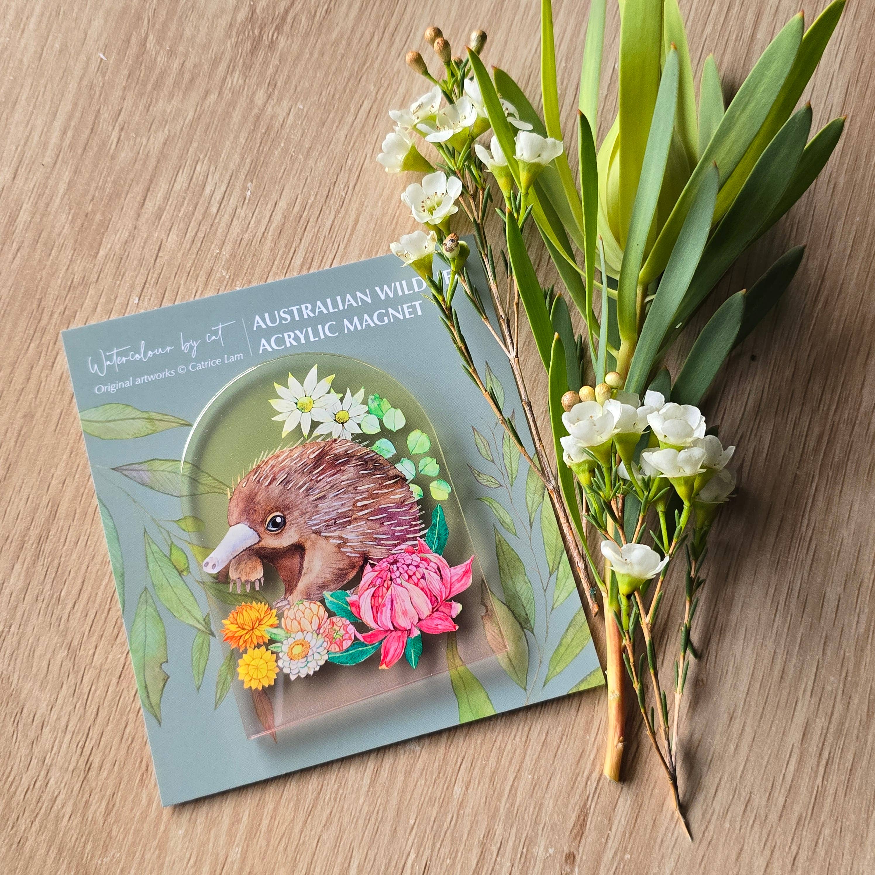 Watercolour By Cat - Wholesale Magnet - Australian Animals Echidna Magnet 1