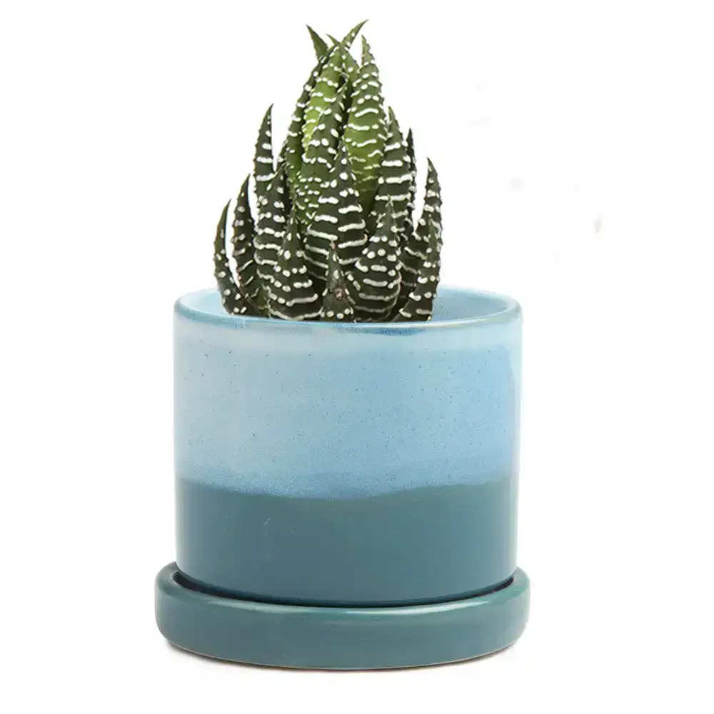Chive UK - Wholesale Plant Pot - Minute  Handmade Ceramic Planter Indoors Pot With Saucer35