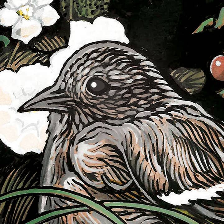 Sunny Days – wholesale Everyday greeting card – Pine Siskin in Strawberries