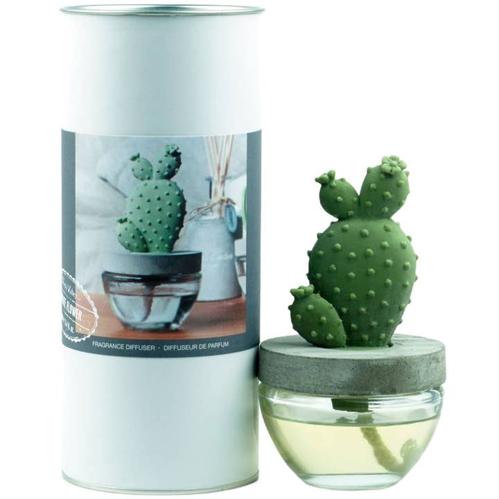 Pretty Valley Home – wholesale Reed diffuser – Cactus - Bunny Ear Cactus ceramic diffuser gift set - 100ml