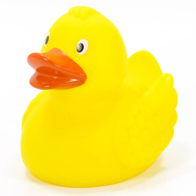 Bright Yellow Rubber Duck for wholesale by Ducks in the Window