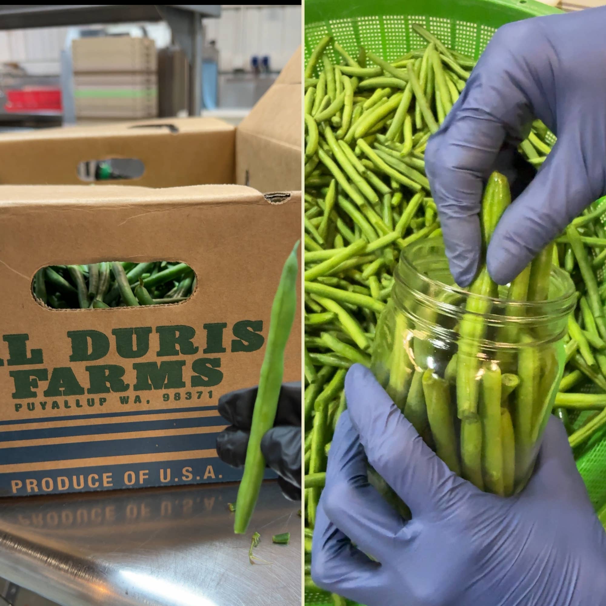 Ayurveg | NudeVeg Pickles - Wholesale Pickled Vegetables - Pickled Green Beans | Spicy Dill | Artisanal Pickles1