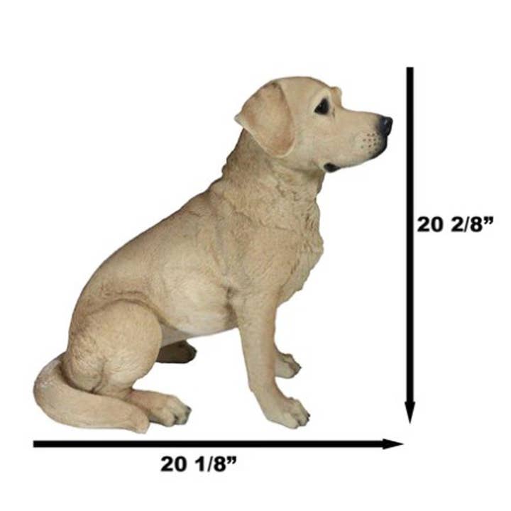 Pacific Trading – Estatueta decorativa por atacado – 12478 Cão Labrador tamanho real
