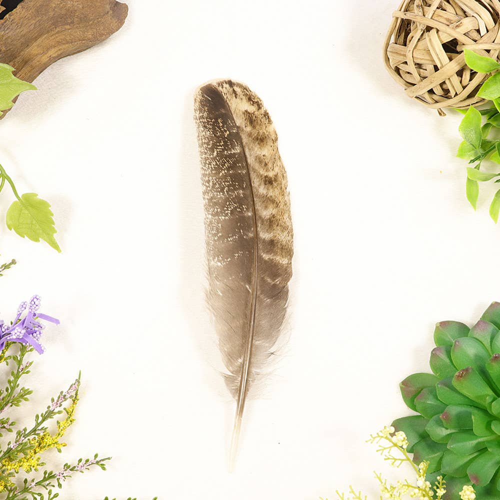 Natures Artifacts Inc - Wholesale Sage Bundle - Smudging Turkey Feather4