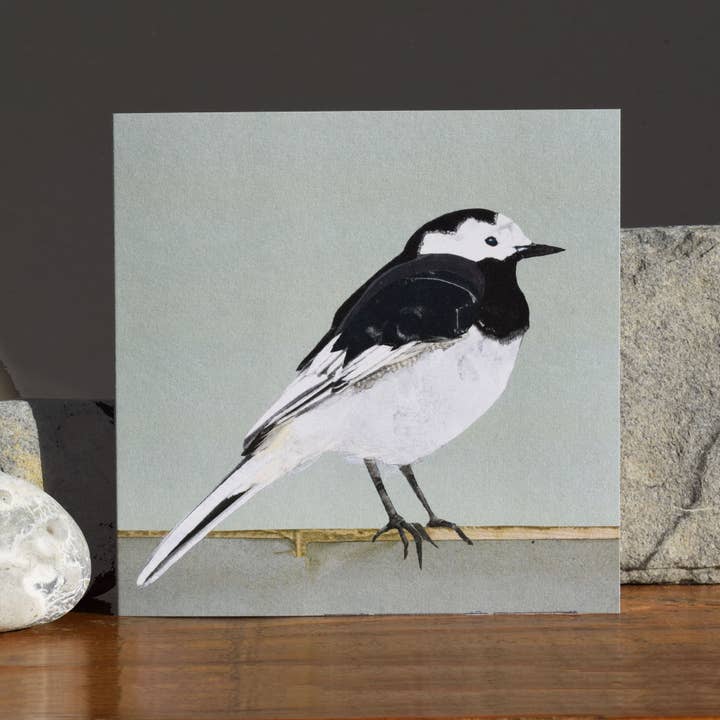 Windsock Press – wholesale Everyday greeting card – Pied Wagtail Card (British Birds) 1