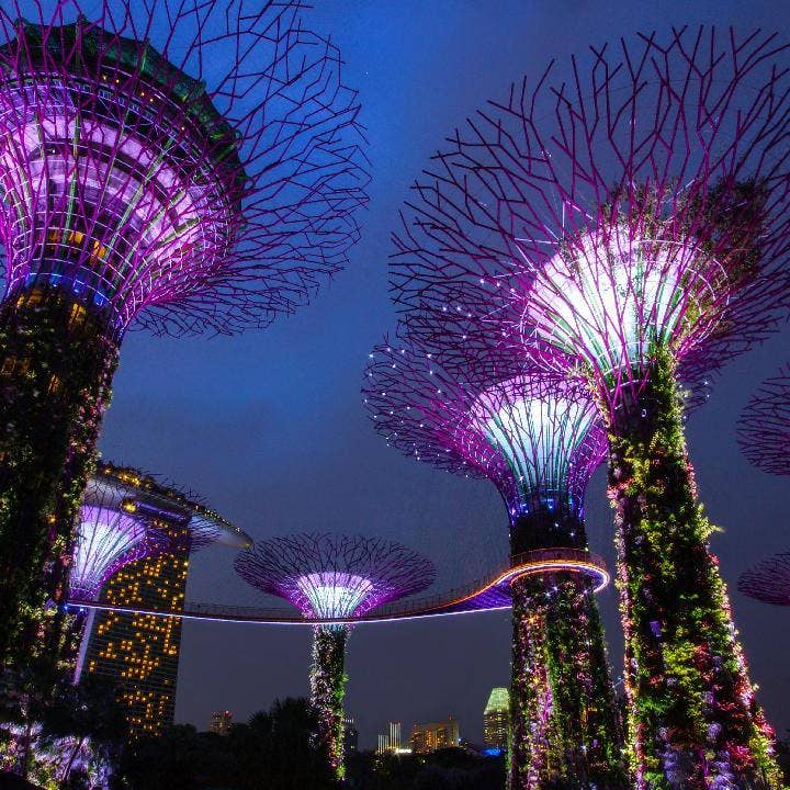 Cosmic Gardens for wholesale by Purely Cosmic