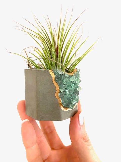 Plant One On Me Designs - Wholesale Plant pot - Geode Planter with Air Plant - Mixed Color - Small Vessel3