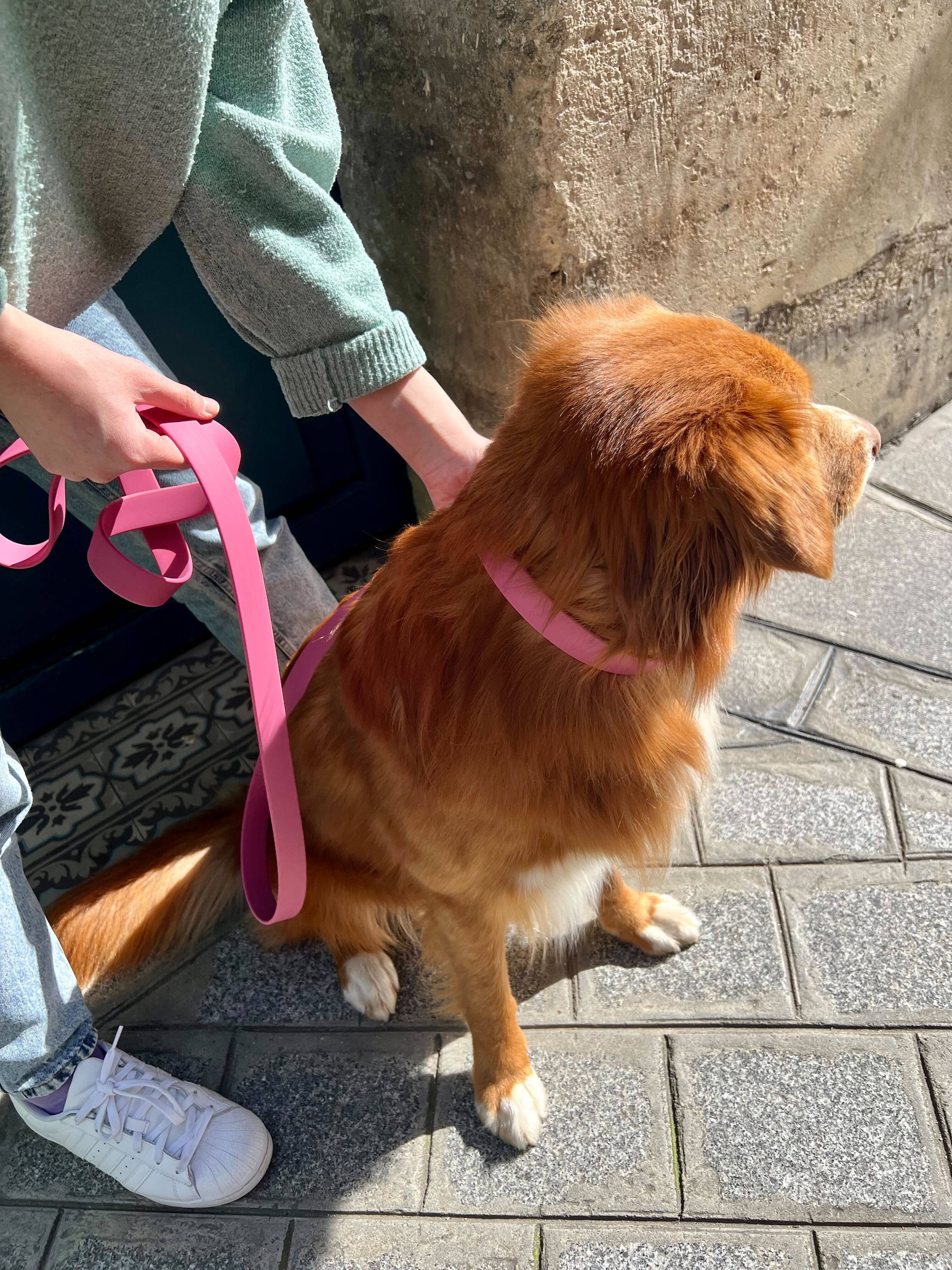 Ploouf Dogs – Engroshandel Halsbånd - Hund – Hundehalsbånd Raspberry Pink ”soft touch”2