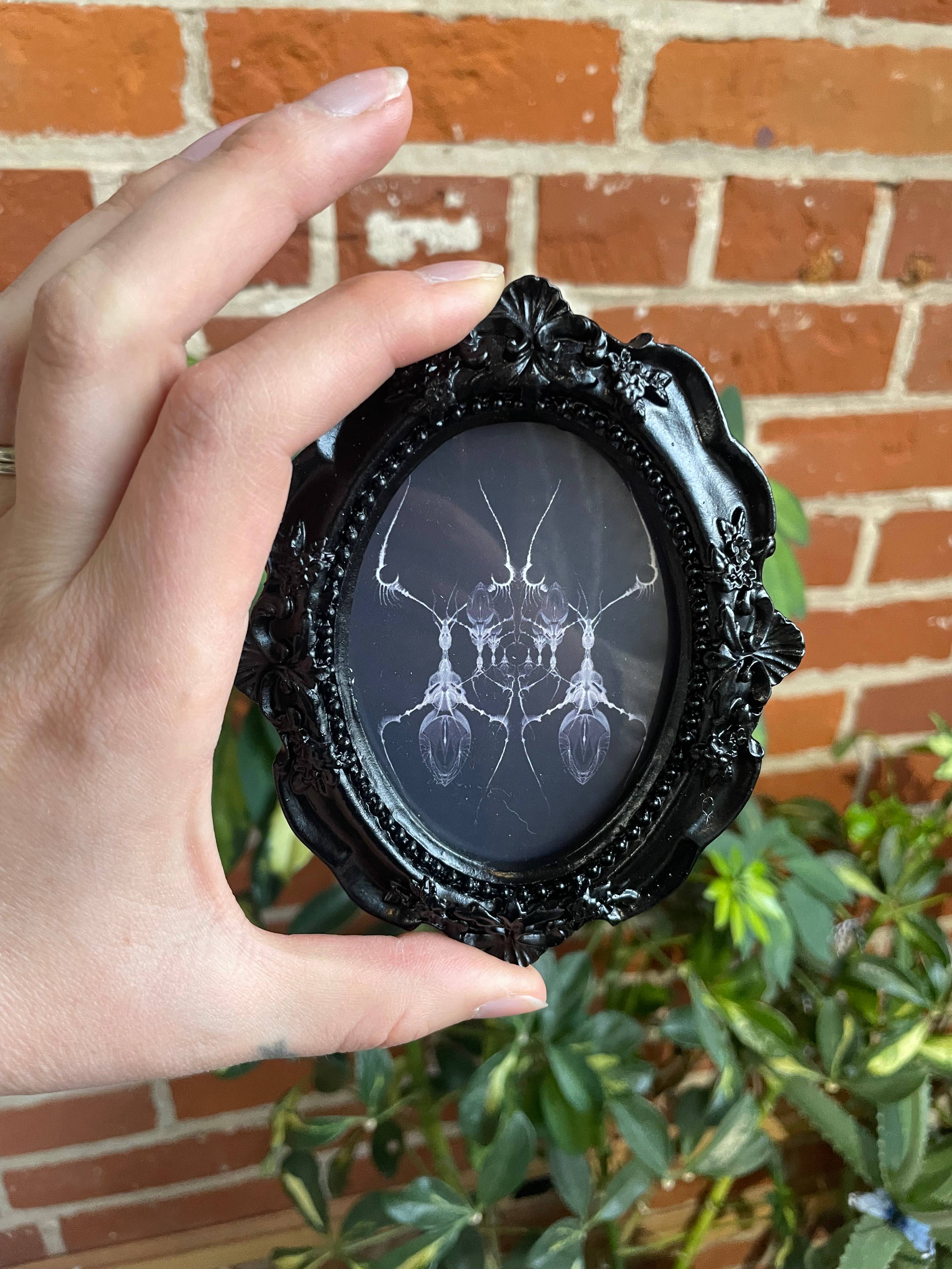 Signum Somnia - Vente Affiche d'art - Mini œuvres encadrées style gothique, art insolite, décor effrayant7