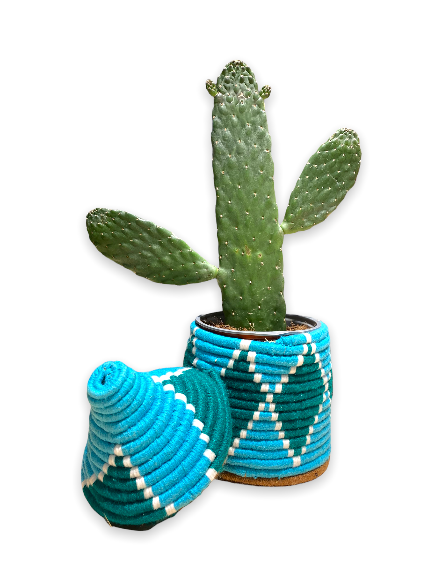 SOUK in the CITY - Vendita all'ingrosso Cestini - Piccoli cestini berberi colorati5