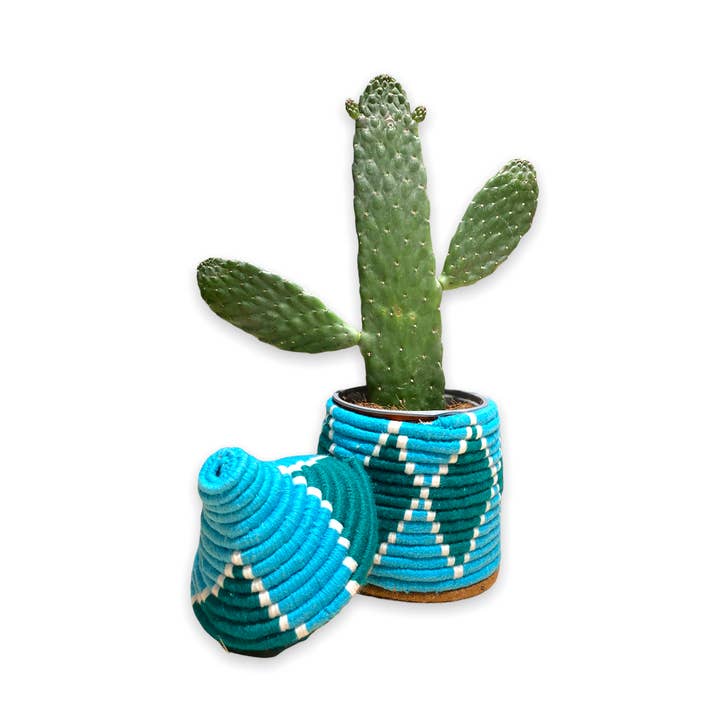 SOUK in the CITY - Wholesale Basket - Colorful Handmade Berber Baskets5