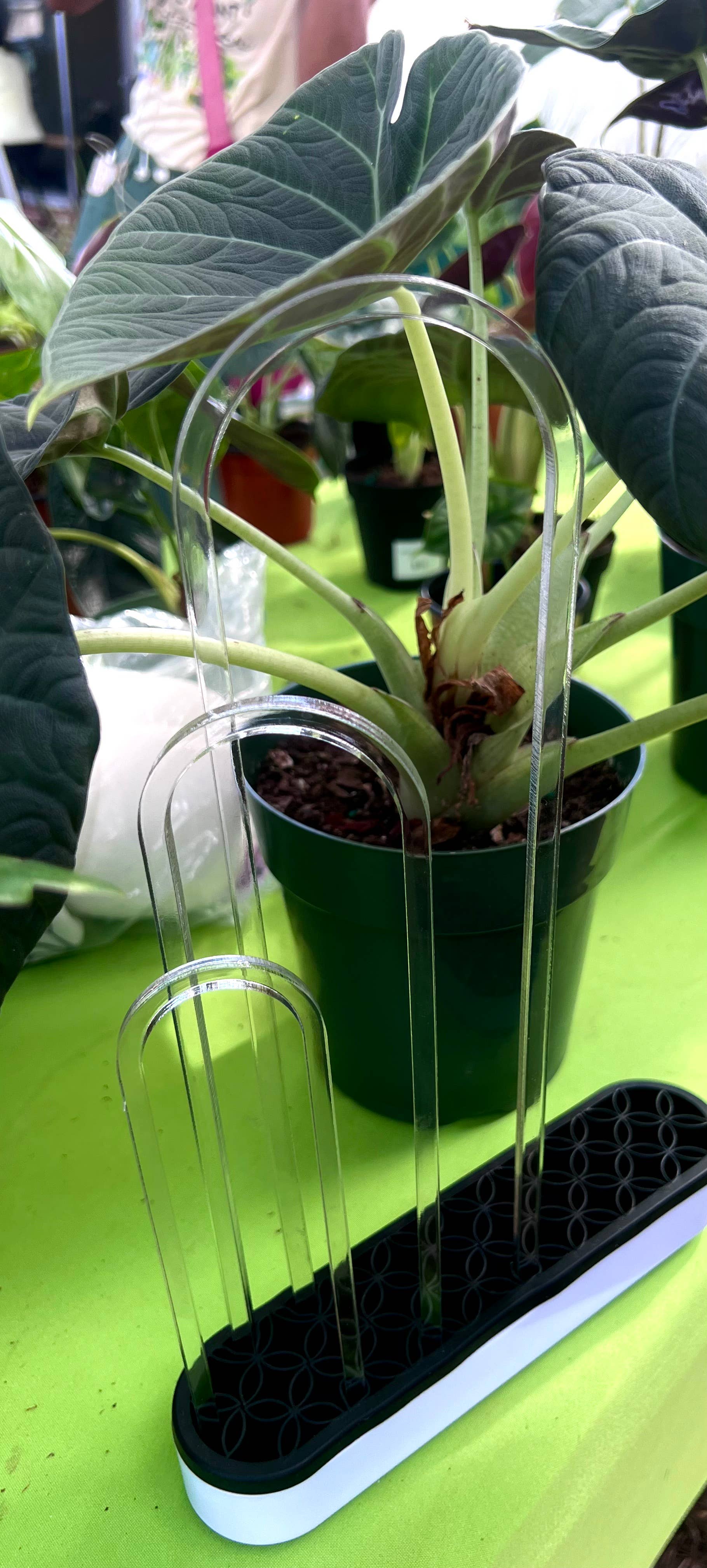 Aqua Alchemy - Wholesale Trellis - Minimalist arch plant trellis 1