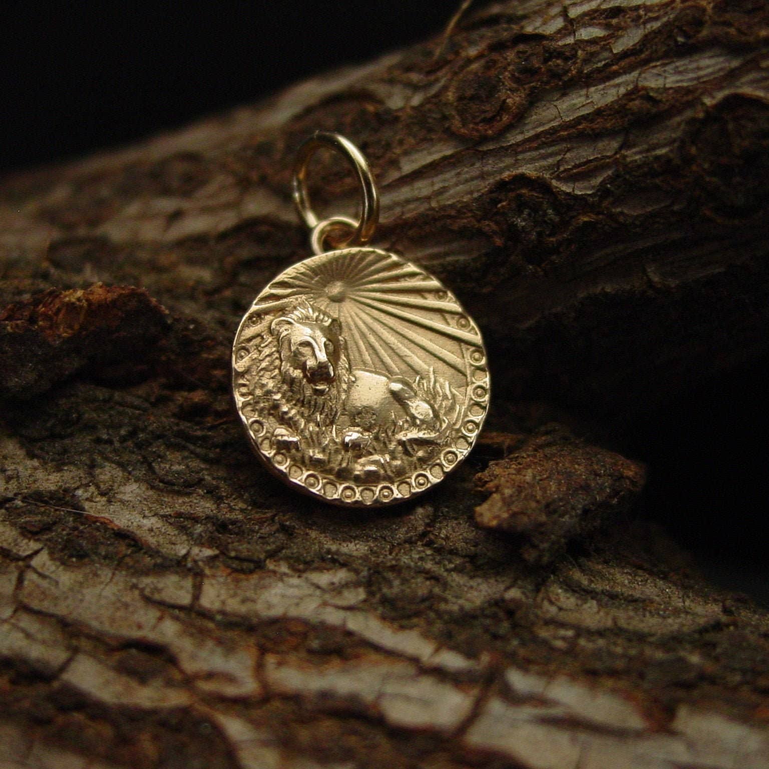 Vis a Vis Jewelry – wholesale Pendant/charm necklace – Leo Necklace - Zodiac1