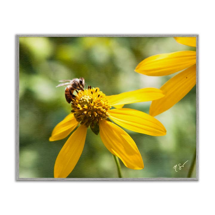 Stupell Industries - Wholesale Wall sign - Bee on Daisy Photography - Framed Wall Art18