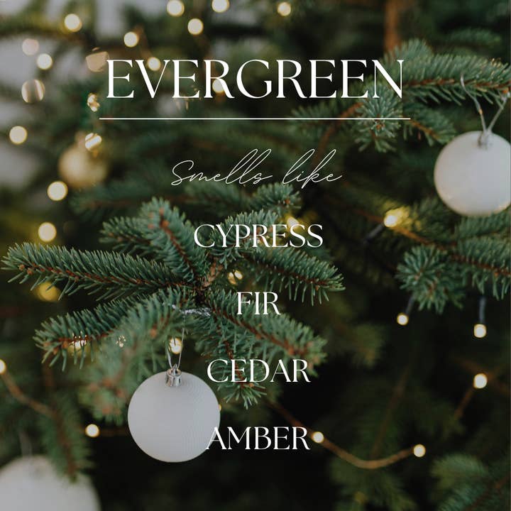 Modern Roots Candle Co. - Wholesale Jar/Filled Candle - Evergreen | Fraser Fir | 9oz Soy Wax Candle1