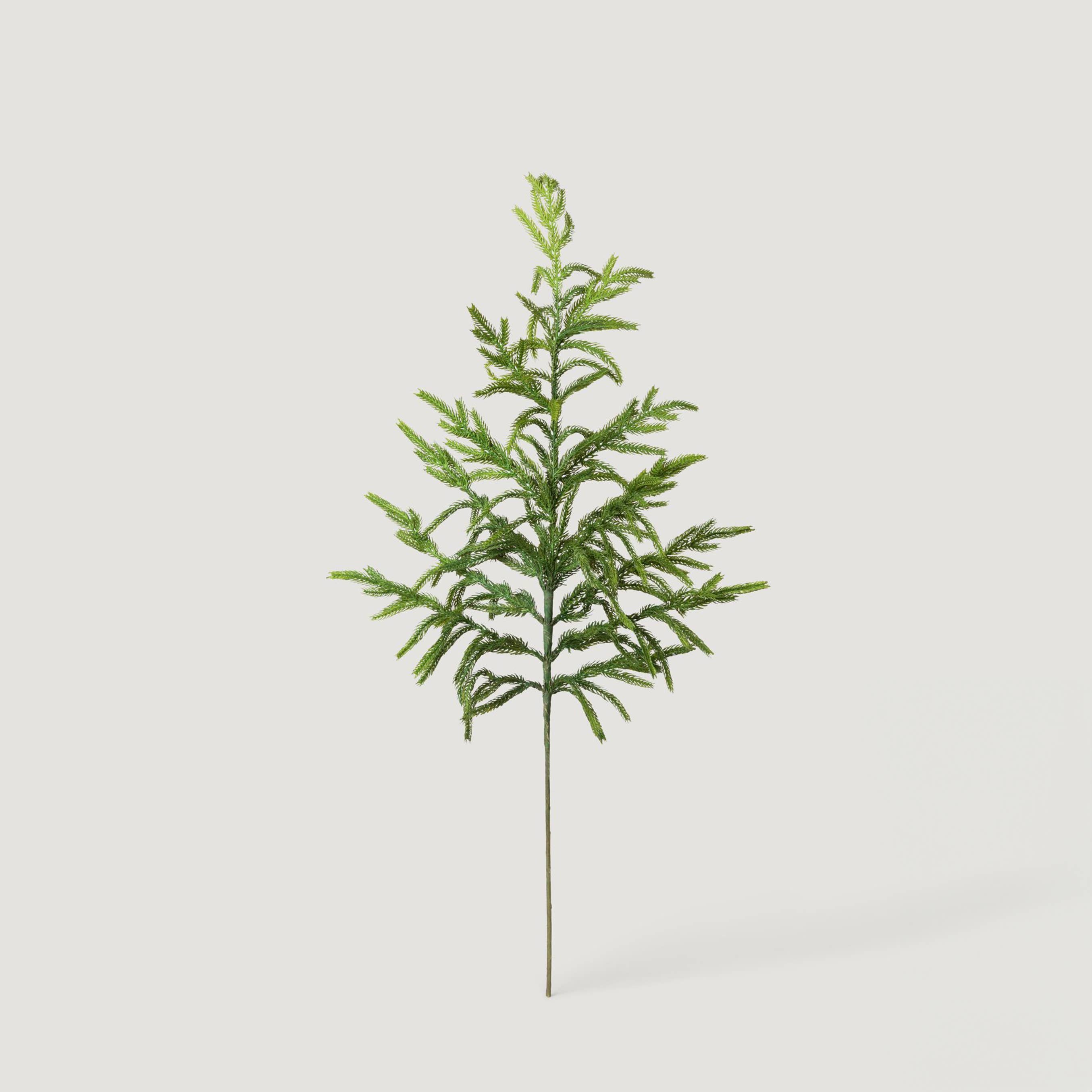 Afloral - Wholesale Artificial Plant - Afloral™ Real Touch Norfolk Pine Branch - 36"