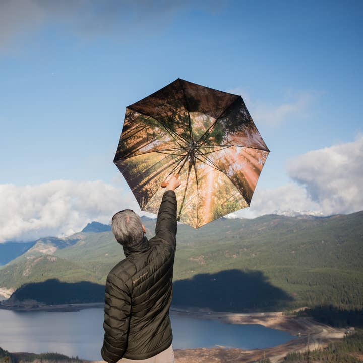 Redwoods Umbrella - Wooden Handle - (FINAL INVENTORY!) for wholesale by Bird&Fish, Co.