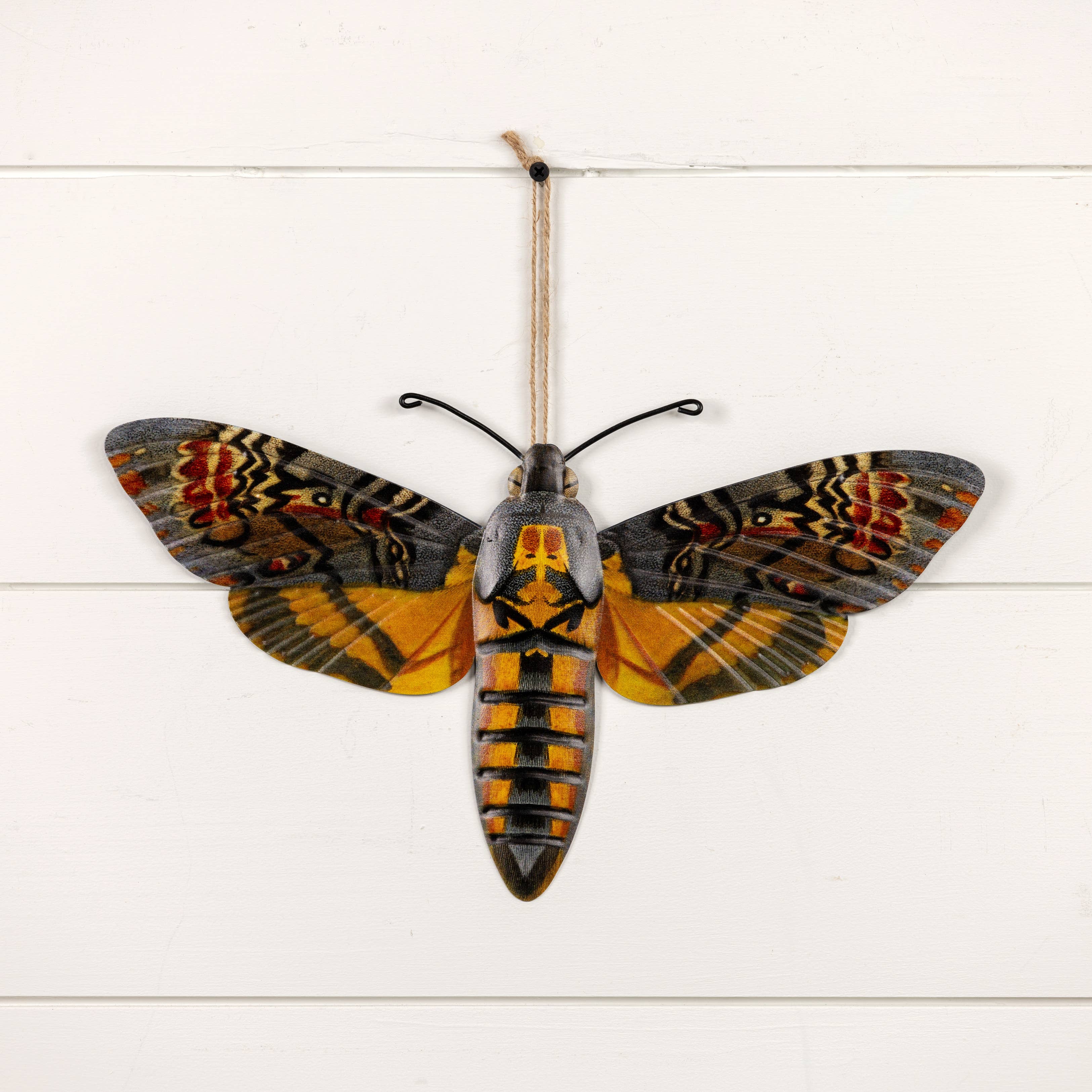 Ragon House - Wholesale Wall Accent - 14" HAWK MOTH1